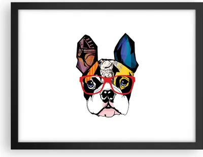 Produktbild von Gerahmtes Poster - Schwarzer Rahmen - Hund Brille Bunt Bulldogge - 40x30 cm - Wand Bild - Wanddeko - Wandbilder - Wandposter - Bilderrahmen - Bilder - Kunstdruck - Wandbild - P2BAA40x30-3206