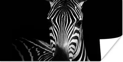 Produktbild von MuchoWow® Poster Zebra - Schwarz - Weiß - Tiere 40x20 cm - Poster für die Wand - Poster Schlafzimmer