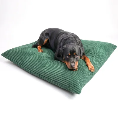 Produktbild von 4L Textil MOLLY Hundekissen flauschig Cord Hundebett Grosse Hunde mit Bezug und Reißverschluss kuscheliges Hundekissen waschbar 120x100 cm, Grün