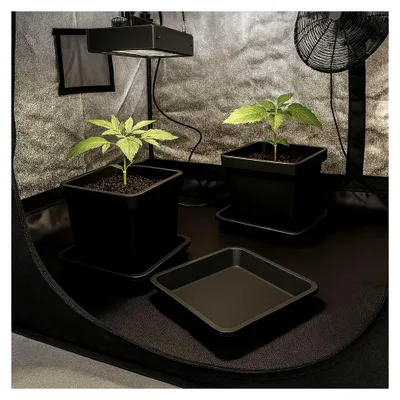Produktbild von Blumentopf Untersetzer 34 x 34 x 3,5 cm Eckig Schwarz Kunststoff - Quadratisch Blumentöpfe Plastik Pflanzentopf Pflanzgefäß Pflanzkübel Anzuchttopf Blumenkübel Topf Garten Balkon