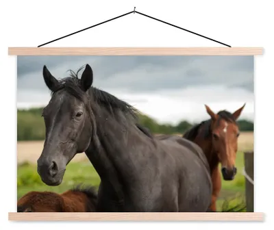 Produktbild von MuchoWow® Textilposter Pferde - Wiese - Schweden 60x40 cm mit holzfarbenen Rahmen - Bilder