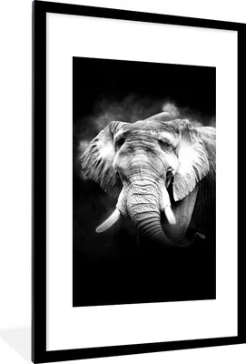 Produktbild von MuchoWow® Gerahmtes Poster Elefant im Nebel vor schwarzem Hintergrund - schwarz und weiß 60x90 cm - Poster mit Schwarzem Bilderrahmen Wandposter Rahmen Foto Bilder - Dekoration - Wandposter Wohnzimmer - Hochwertig
