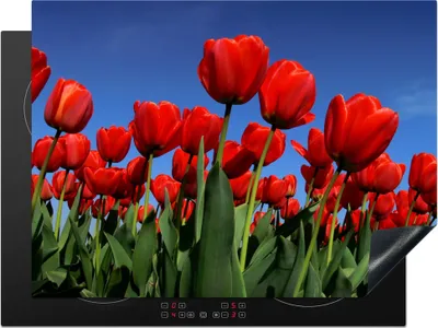 Produktbild von KitchenYeah© Herdabdeckplatte Die Sonne scheint über die roten Tulpen , 71x52cm, Küche Deko, Glaskeramikkochfeld Herdabdeckung, Abdeckplatte fùr Kochfeld