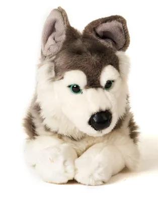 Produktbild von Uni-Toys - Husky grau, liegend - 43 cm (Länge) - Plüsch-Hund, Haustier - Plüschtier, Kuscheltier