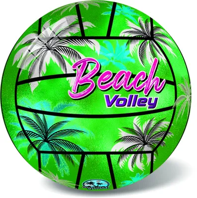Image de Volleyball Palm Beach 21 cm