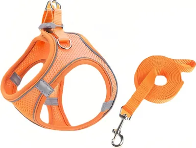 Obrázek produktu pro Nastavitelný, reflexní, prodyšný postroj se 150 cm vodítkem pro malé a střední psy a kočky (velikost S, oranžová)