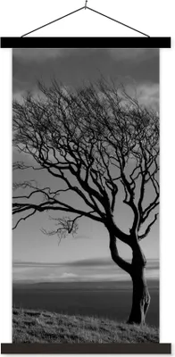 Produktbild von MuchoWow® Textilposter Winterfoto Buche schwarz und weiß 40x80 cm mit schwarzem Rahmen - Wandemalerei