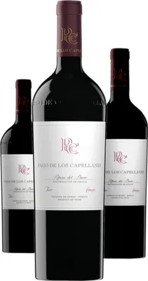 Produktbild von 3 x Pago de los Capellanes Crianza
