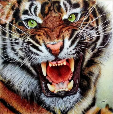 Produktbild von Malen nach Zahlen 5d Diamond Painting Tiger Malen nach Zahlen 30x40cm