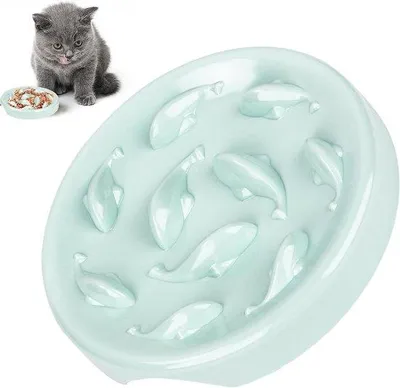 Image de Gamelle antidérapante pour chats et chiens, conception en labyrinthe, pour une alimentation lente