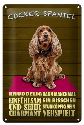 Produktbild von Blechschild Spruch 20x30cm Cocker Spaniel Hund knuddelig