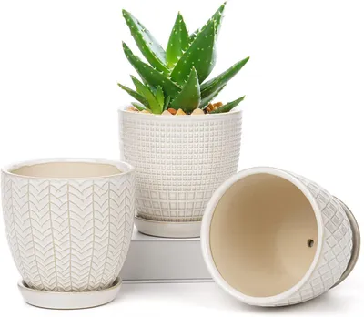 Obrázok produktu pre Kvetináč 11,2 cm, súprava 3 kusov, okrúhly, keramika, s odtokovým otvorom, pre sukulenty