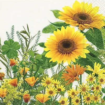Produktbild von 20 Servietten Yellow Meadow - Gelbe Blumenwiese 33x33cm