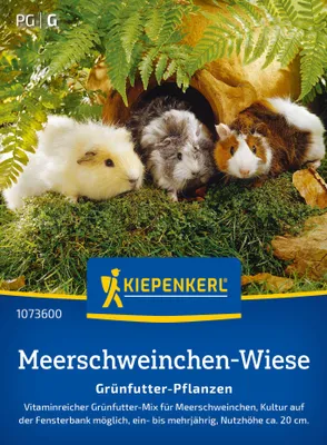Produktbild von Kiepenkerl Meerschweinchen-Wiesensamen Grünfutter-Pflanzen 3 - 5 m²