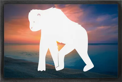 Produktbild von Mr. & Mrs. Panda Türmatte Schimpanse 50 x 75 cm - Sonnenuntergang - Geschenk, Fussmatte, Schimpansen, Bodenvorleger, Affen, Sauberlaufmatte, Schmutzfangmatte, Affe