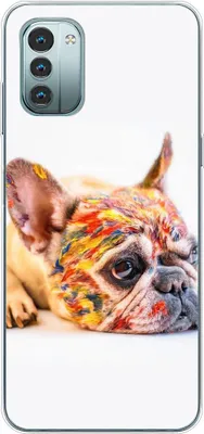 Produktbild von König Design Hülle kompatibel mit Nokia G11 Kunststoff Soft Handyhülle - Handy Case Bulldogge Bunt