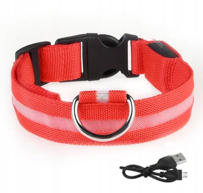 Produktbild von Wasserdichtes LED-Hundehalsband mit USB-Kabel, ROT, XL, 52-60 cm