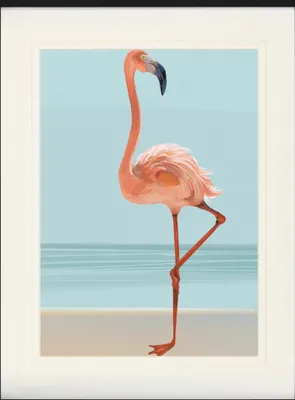 Produktbild von Flamingos Gerahmtes Bild Mit Edlem Passepartout | Wand-Bilder | Im Bilderrahmen - Ein Schöner Flamingo (80 x 60 cm)