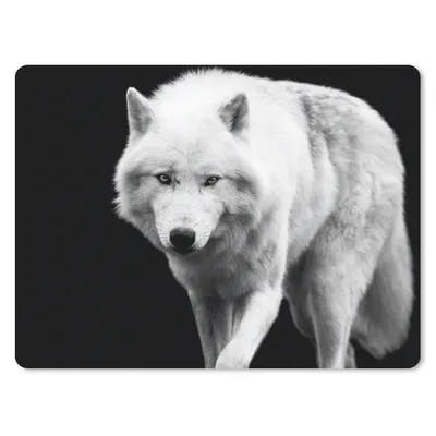 Produktbild von MuchoWow® Mauspad Mousepad Wolf - Tier - Schwarz - Weiß 23x19 cm - Mousepads - Maus Mat - Pad - Mausunterlage - Schreibtischunterlage - Mauspad