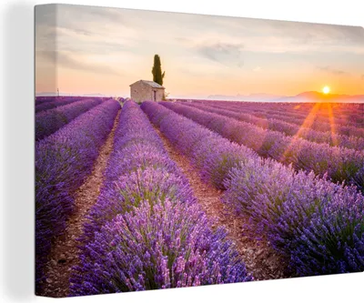 Produktbild von OneMillionCanvasses® - Leinwandbilder - 150x100 cm, Lavendel - Sonnenuntergang - Blumen - Lila, Wandbilder Kunstdruck Wanddekoration - Foto auf Leinwand - Gemälde auf Holzrahmen