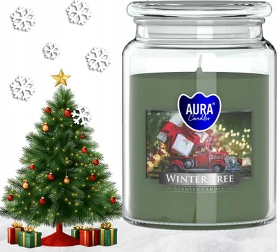 Image de AURA Bougie Parfumée BOIS DE NEIGE 100h snd99-348