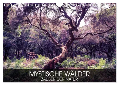 Produktbild von Mystische Wälder - Zauber der Natur (Wandkalender 2027 DIN A4 quer), CALVENDO Monatskalender