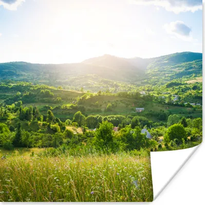 Produktbild von MuchoWow® Poster Wald - Landschaft - Sonne - Natur - Sonnenaufgang 100x100 cm - Babyzimmer
