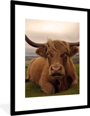 Produktbild von MuchoWow® Gerahmtes Poster Schottischer Highlander - Tiere - Berg 60x80 cm - Poster mit Schwarzem Bilderrahmen Wandposter Rahmen Foto Bilder - Wohnzimmer - Dekorationen - Prämie