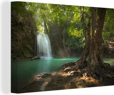 Obrázek produktu pro OneMillionCanvasses® - Obrazy na plátně - 140x90 cm, tropický strom v národním parku Erawan v Thajsku, Nástěnné umění tisk Nástěnná dekorace - fotografie na plátně - malba na plátně