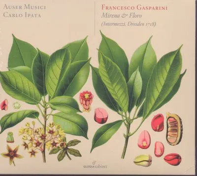 Image de Gasparini/Mirena & Floro
