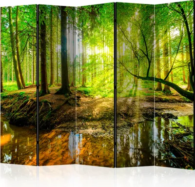 Produktbild von 5-teiliger Doppelseitiger Vlies Paravent - Forest Stream II 225x172 cm c-B-0241-z-c