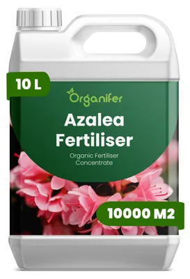 Produktbild von Azaleendünger Flüssig 10L – 3-4-3 NPK – Flüssigdünger Für Blühpflanzen – Für Üppige Blüten & Starke Wurzeln – Fördert Vitalität & Blätter – Organifer