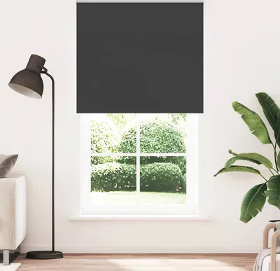 A dark grey roller blind is shown covering a window with a view of greenery outside. A floor lamp is to the left, and a large plant is to the right.