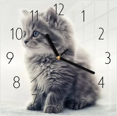 Produktbild von Wanduhr aus Glas mit Motiv Kitten Portrait- 30 x 30 cm - inkl. Aufhängesystem