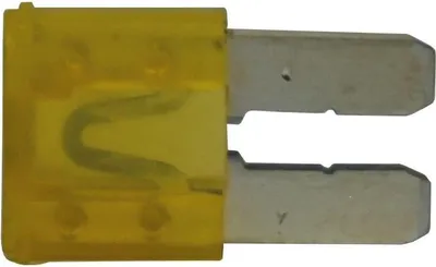 Image de Micro2-Fusible 20A