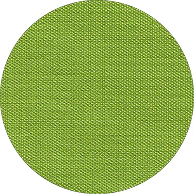Immagine prodotto di Coperta Papstar verde oliva in morbido pile selection plus 80 x 80 cm