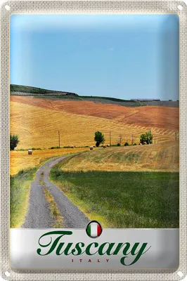 Produktbild von Blechschild Reise 18x12cm Toskana Italien Felder Feldweg Schild
