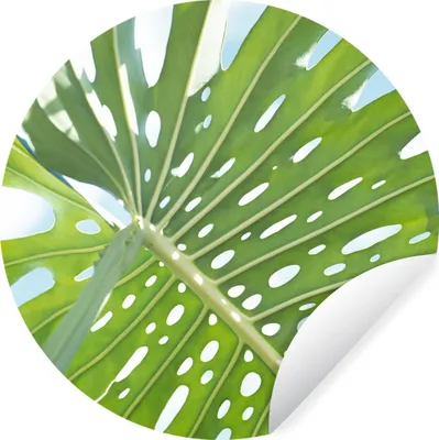 Produktbild von MuchoWow® - Tapetenkreis - Wandbild rund - Schlafzimmerdekoration - Wanddeko - runde Tapete - Kunst für zu Hause
