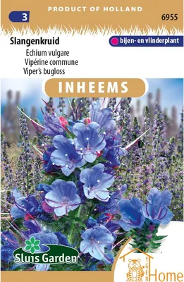 Produktbild von Snakeweed Samen - Echium vulgare für artenreiche Gärten, attraktiv für Bienen und Schmetterlinge, pflegeleicht, blau blühend