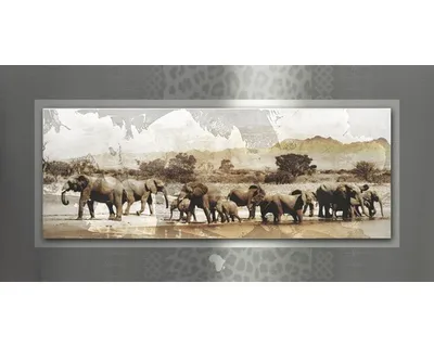 Produktbild von Metallbild Wild Life 100x50 cm