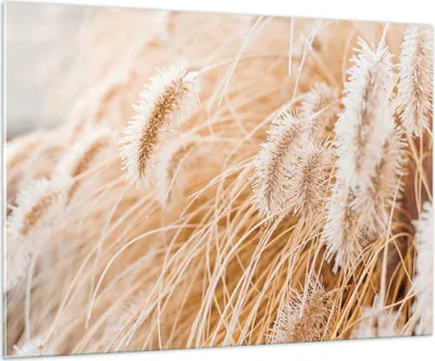Produktbild von Bilder auf glas - Einteilig - Gras Boho Licht - 100x70cm - Glasbilder - Wandbilder - Bilder - zum Aufhängen bereit - Wanddekoration aus Glas - Glas Bilder - Wandbild auf Glas - GAA100x70-4903