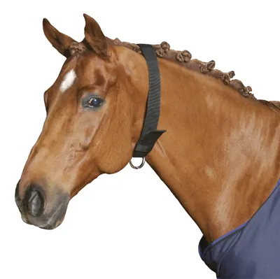 Immagine prodotto di Cinghia da collo Kerbl per cavalli larga 5 cm