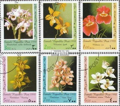 Produktbild von Briefmarken Somali Republic 1998 Mi 1998BA-1998BF die Legalität dieser Ausg. ist ungeklärt gestempelt Blumen