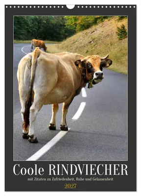 Produktbild von Coole Rindviecher (Wandkalender 2027 DIN A3 hoch), CALVENDO Monatskalender