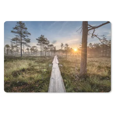 Produktbild von MuchoWow® Schreibtischunterlage Wald - Sumpf - Baum 60x40 cm - XXL Mauspad - Großes Mauspad