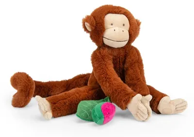 Image de Jouet sensoriel singe, Moulin Roty