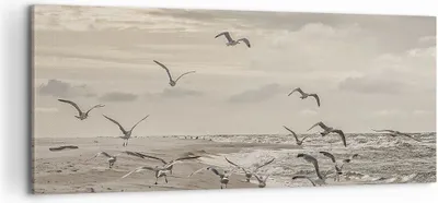 Produktbild von Bild auf Leinwand - Leinwandbild - Einteilig - Möwen Küste Boho - 100x40cm - Wand Bild - Wanddeko - Wandbilder - Leinwanddruck - Bilder - Wanddekoration - Leinwand bilder - Wandbild - AB100x40-4723