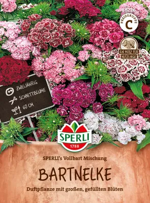 Produktbild von SPERLI Bartnelkensamen Vollbart 100 Pflanzen