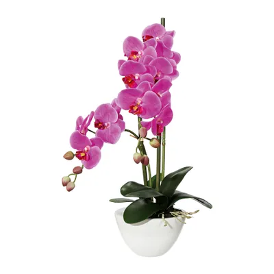 Obrázok produktu pre Umelá orchidea phalaenopsis 50 cm lila v bielej keramickej miske 14,5 x 8,5 cm Real Touch