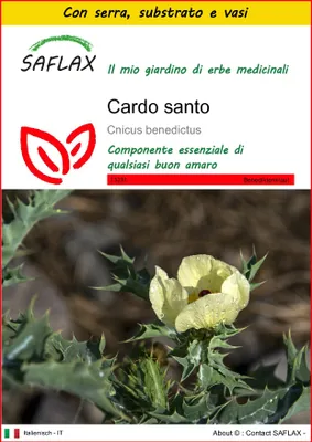 Immagine prodotto di SAFLAX Insieme di coltivazione - Cardo santo - 50 semi - Cnicus